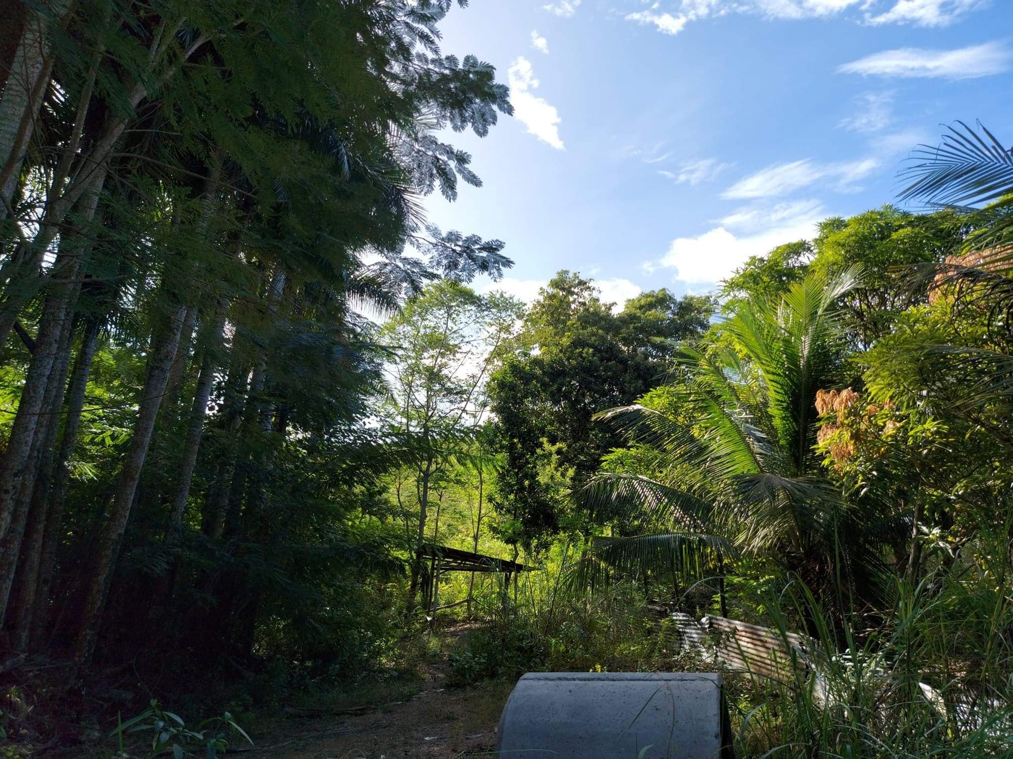 Lot for Sale - Titled