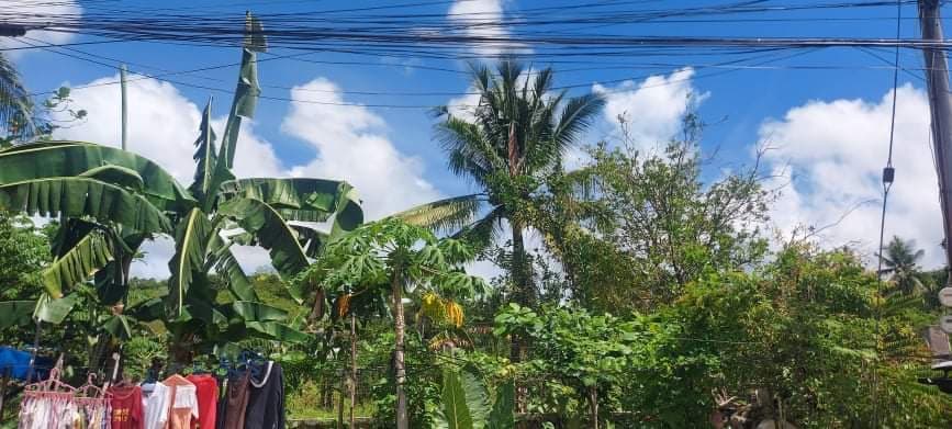 Lot for Sale - Titled - photo 6