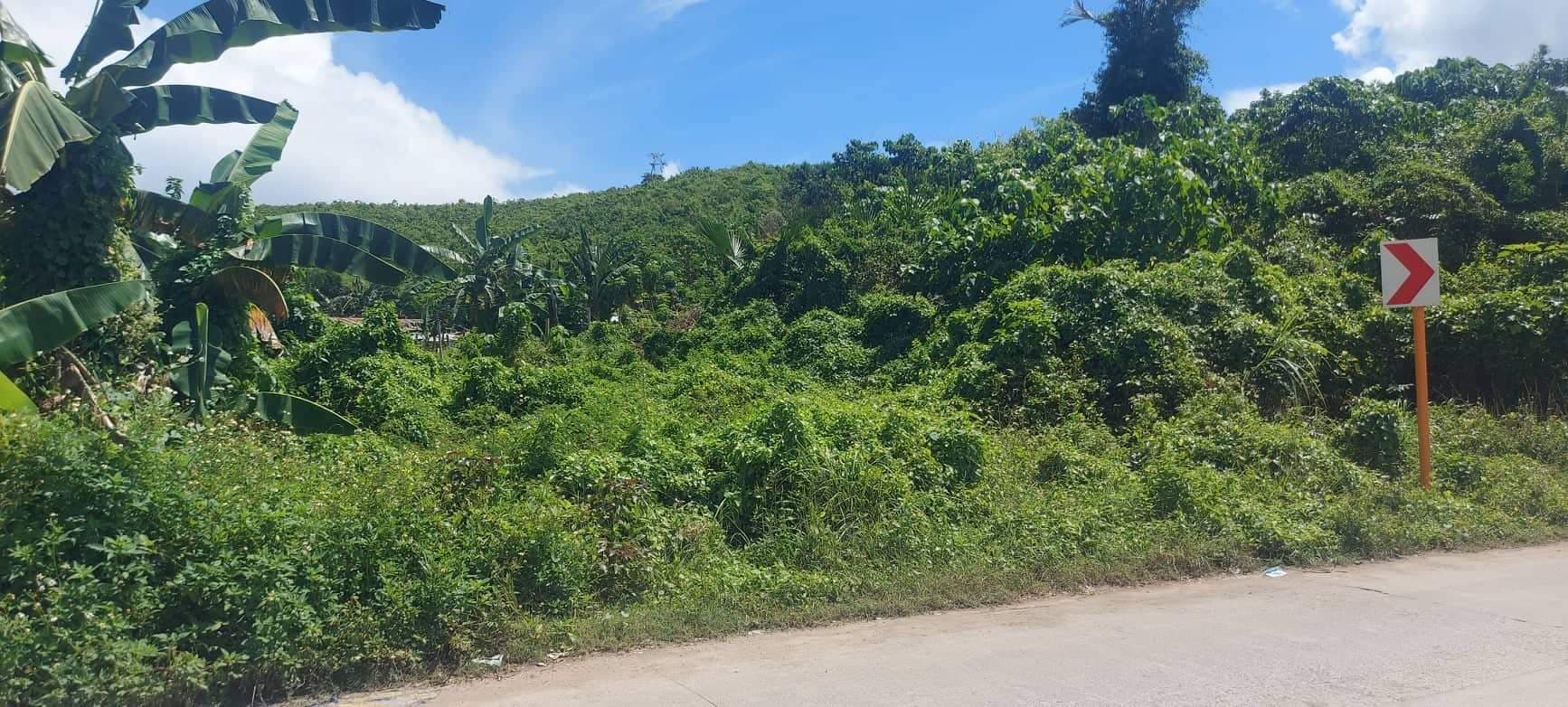 Lot for Sale - Titled - photo 4