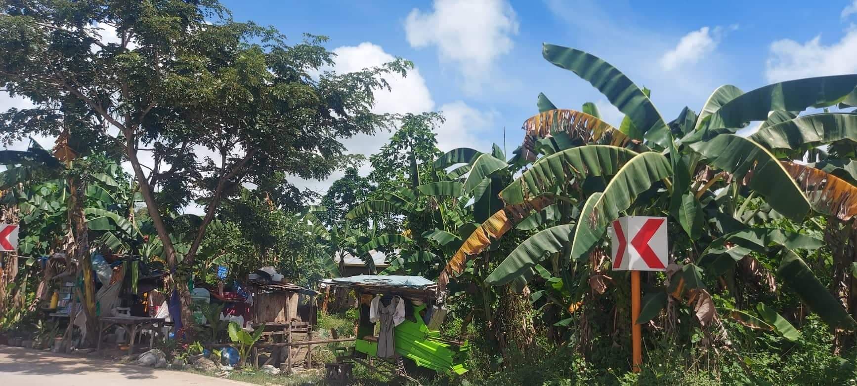 Lot for Sale - Titled - photo 7