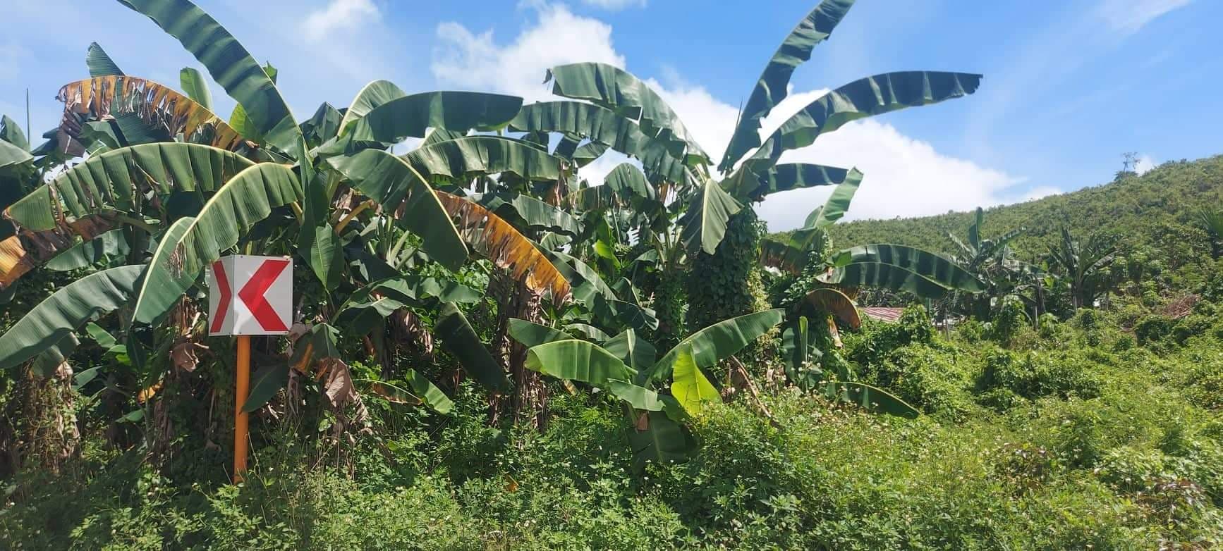 Lot for Sale - Titled