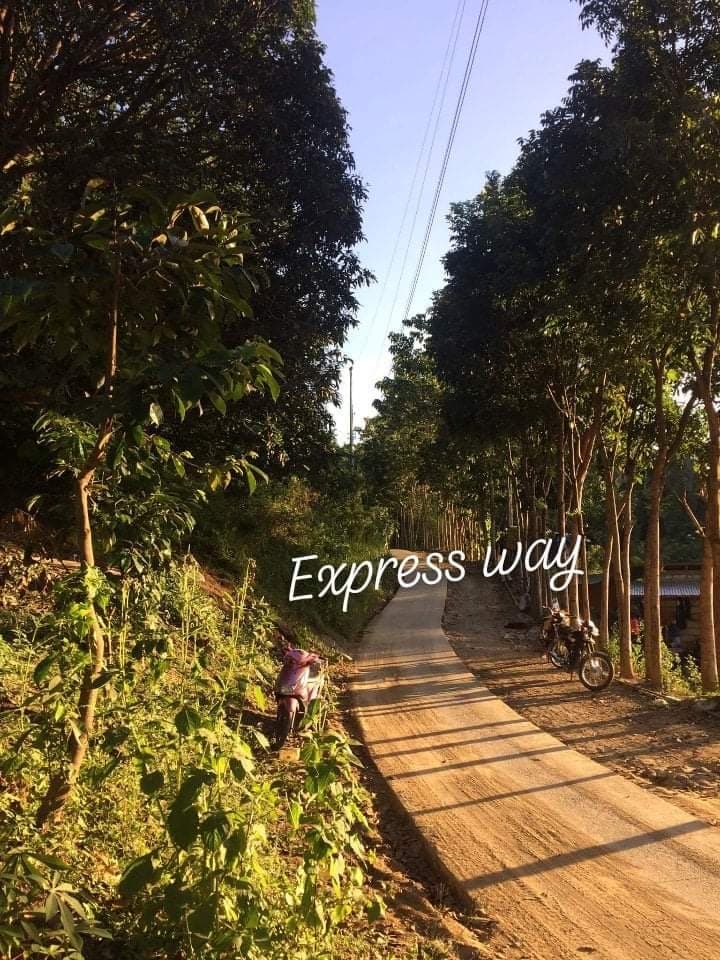 Farm Lot for Sale - photo 1