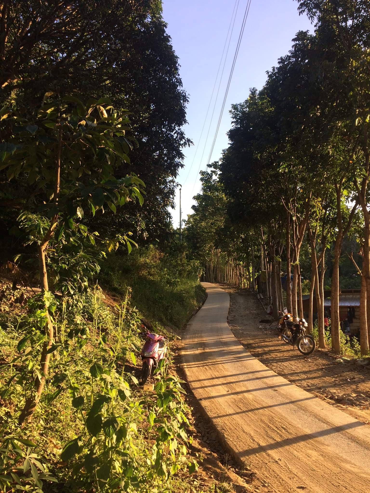 Farm Lot for Sale - photo 4