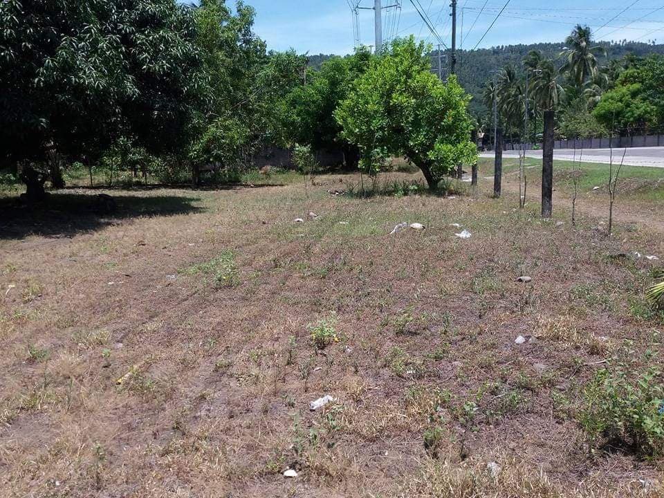 Lot for Sale - photo 2