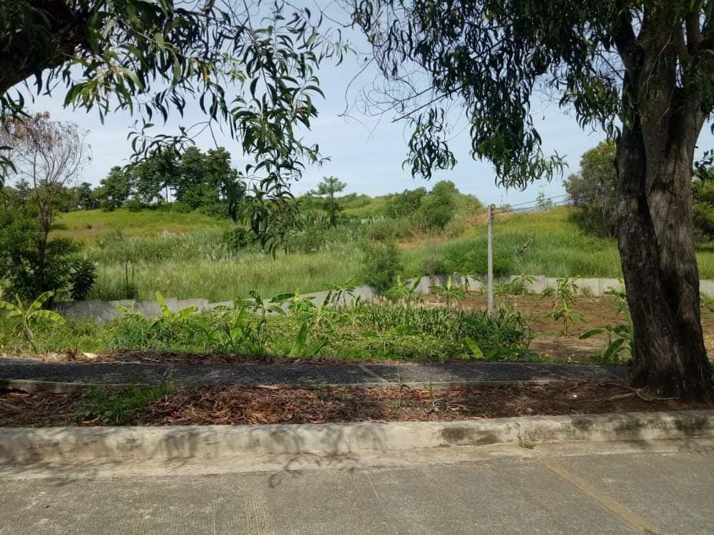 Residential Lot for Sale inside Subdivision
