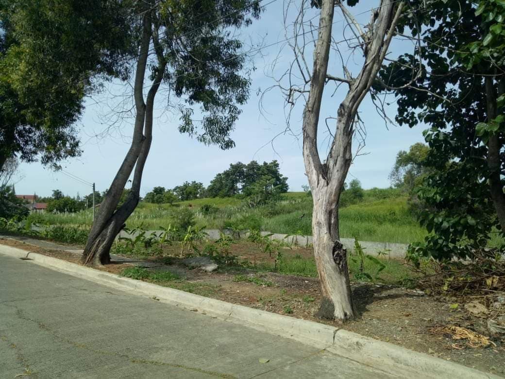 Residential Lot for Sale inside Subdivision - photo 5