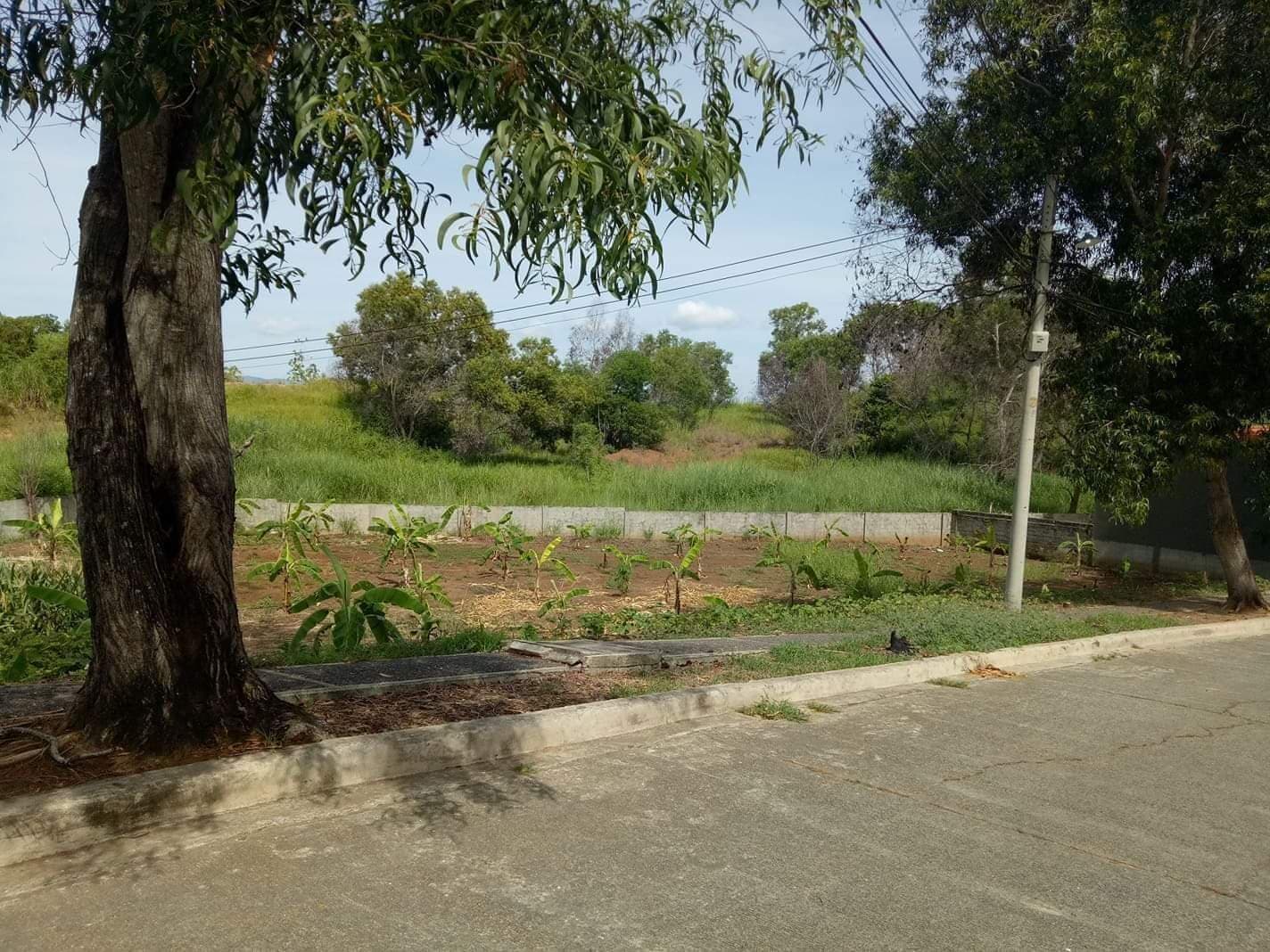 Residential Lot for Sale inside Subdivision - photo 2