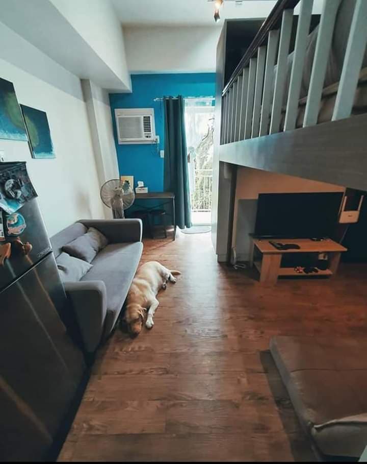 Assume Assume Studio Near airport