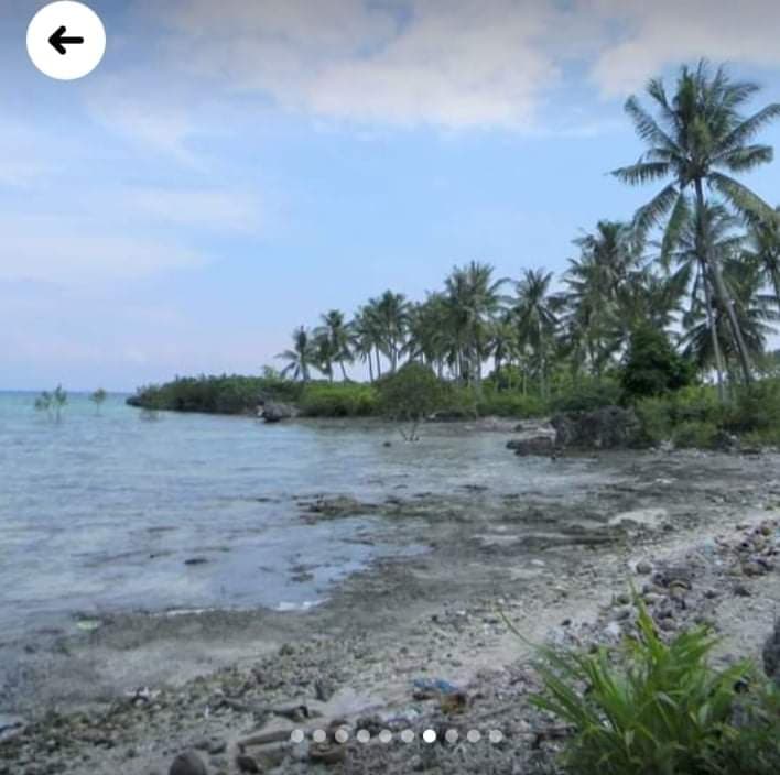 Beach lot Moalboal For Sale - photo 2