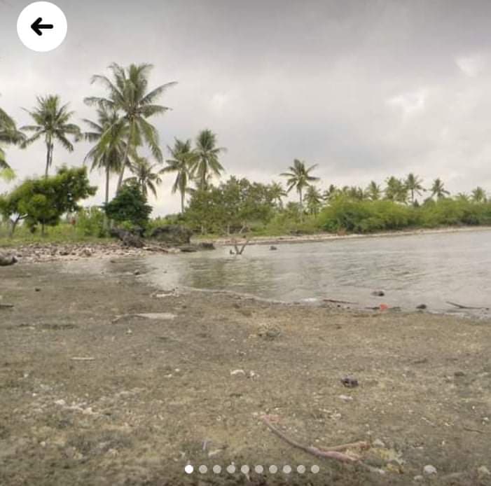 Beach lot Moalboal For Sale - photo 3