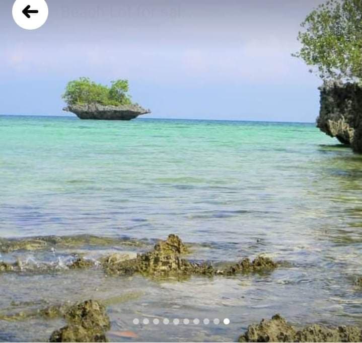 Beach lot Moalboal For Sale