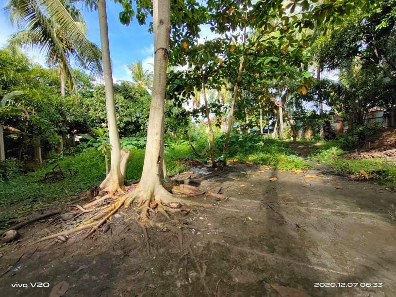 Residential Lot - photo 2