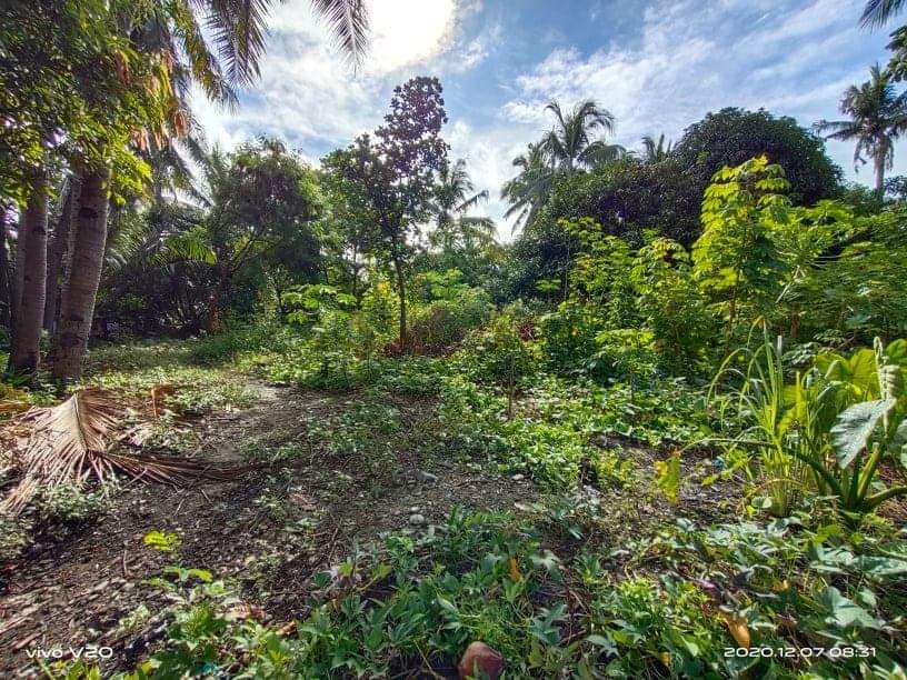 Residential Lot - photo 3