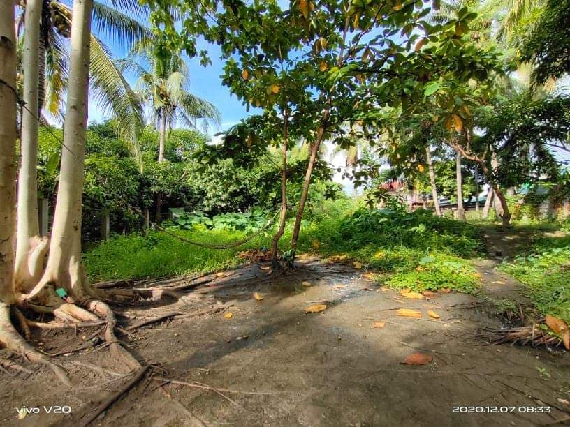 Residential Lot - photo 1