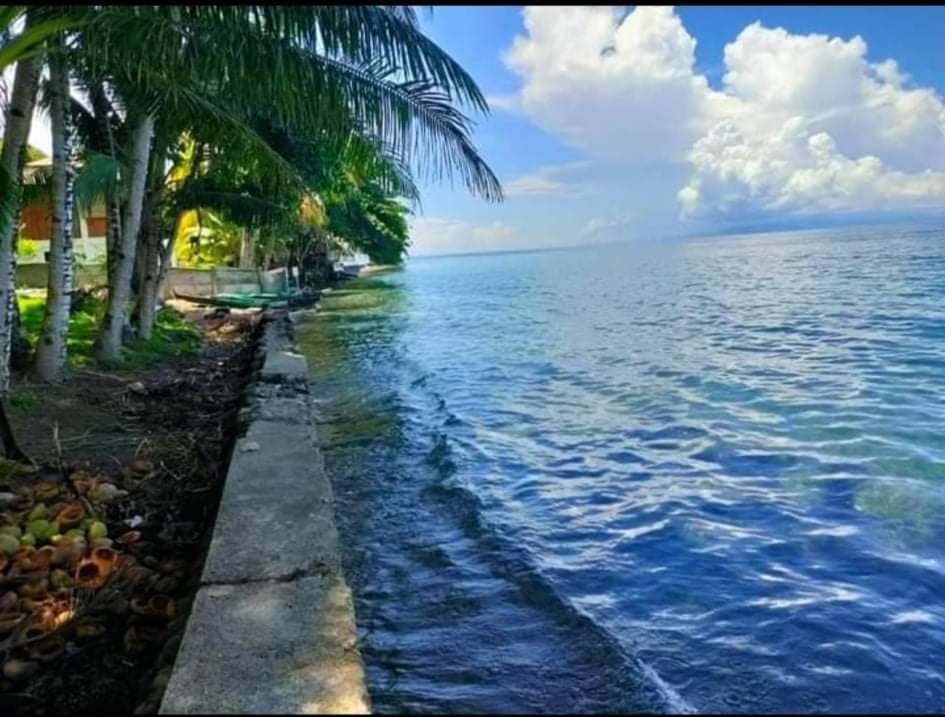 Maayong tubig Dauin beach property - photo 5
