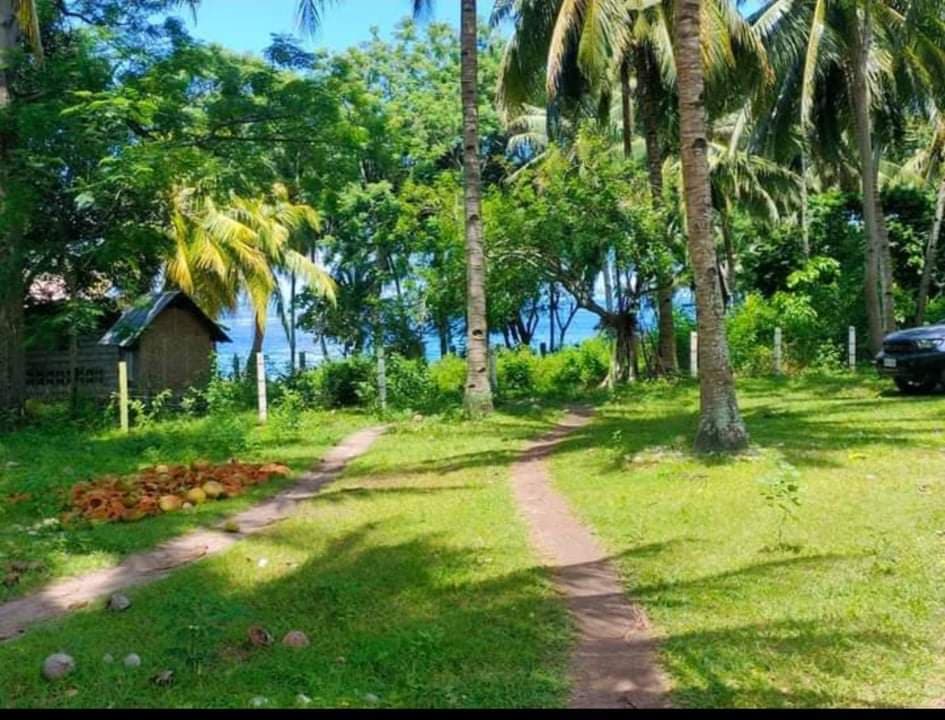 Maayong tubig Dauin beach property - photo 2