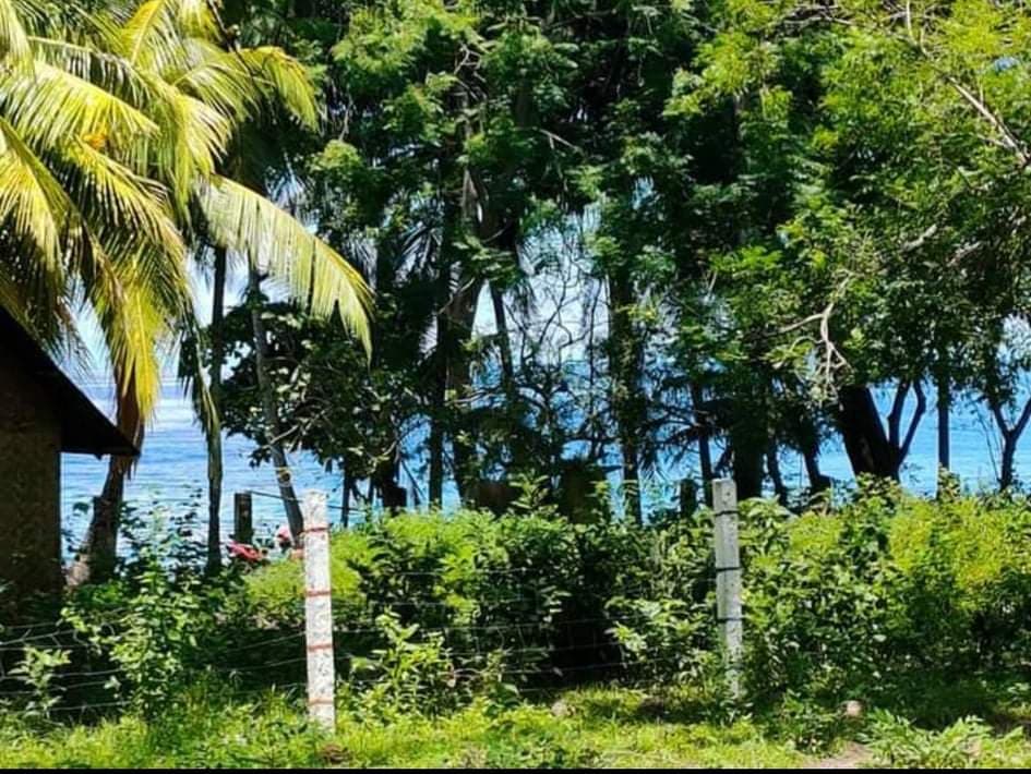 Maayong tubig Dauin beach property - photo 3