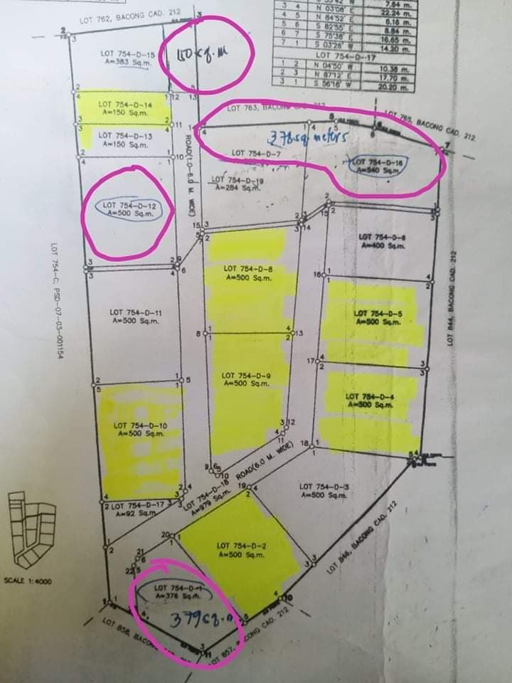 Sulodpan Bacong Subdivided lots - photo 5
