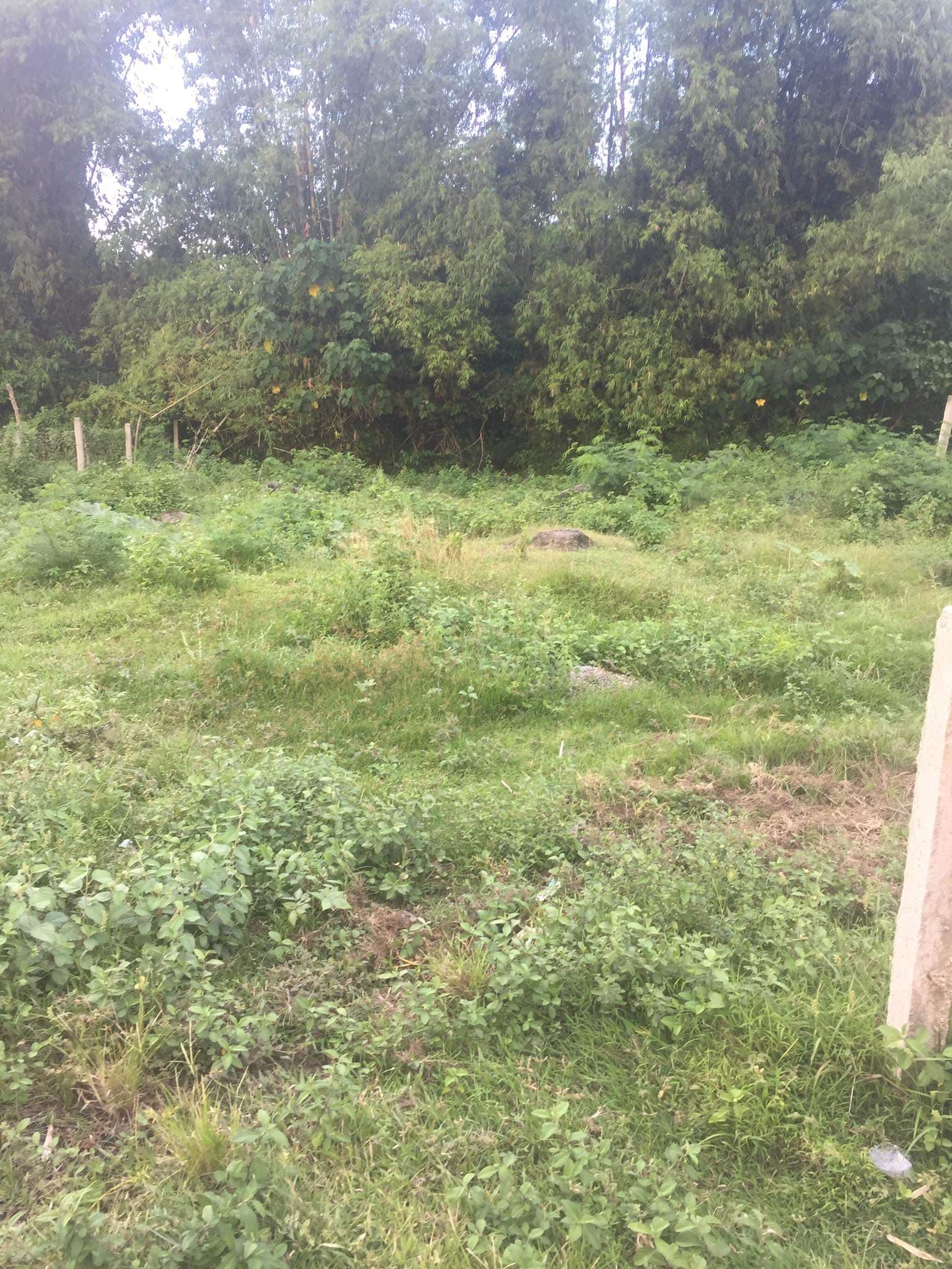 Sulodpan Bacong Subdivided lots - photo 2