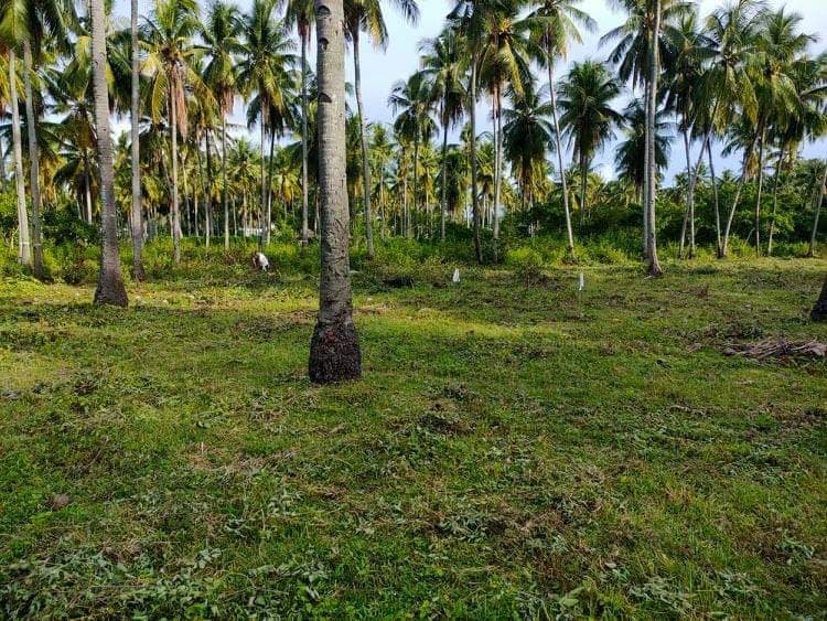 Residential in maayong tubig - photo 2