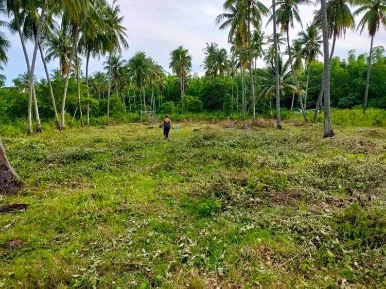 Residential in maayong tubig - photo 6