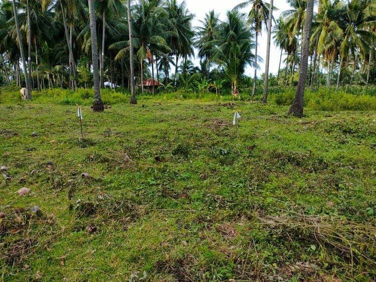 Residential in maayong tubig - photo 5