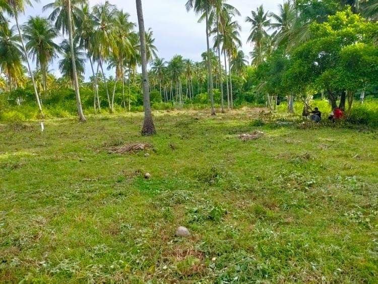 Residential in maayong tubig - photo 3