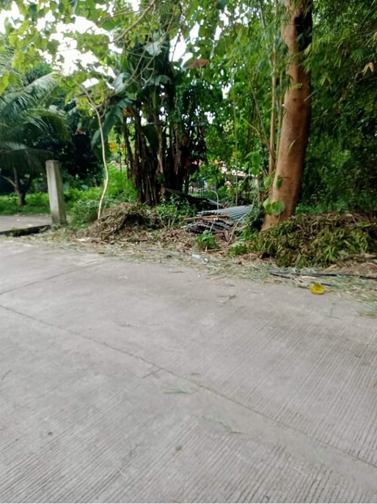 Upper cantel-e Lot - photo 5