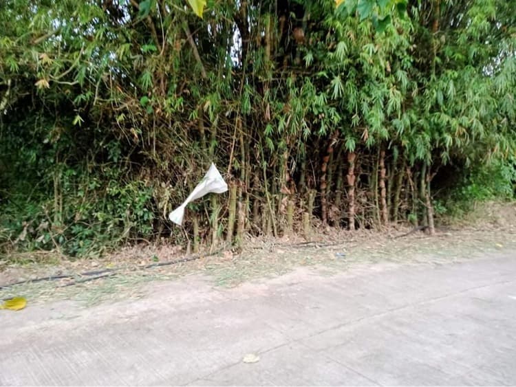 Upper cantel-e Lot - photo 4