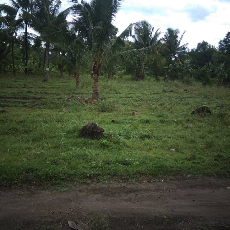 6000 sqm. lot isugan bacong - photo 5