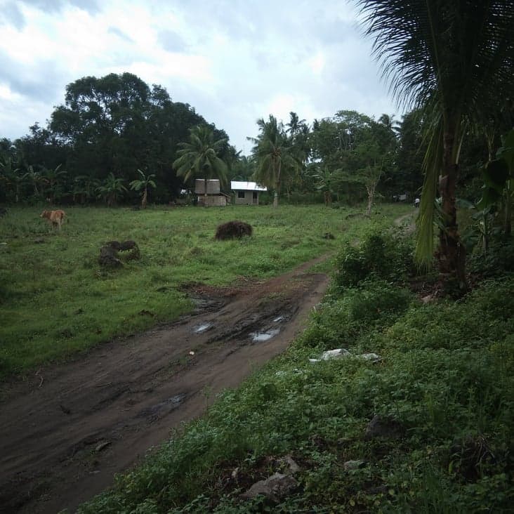 6000 sqm. lot isugan bacong