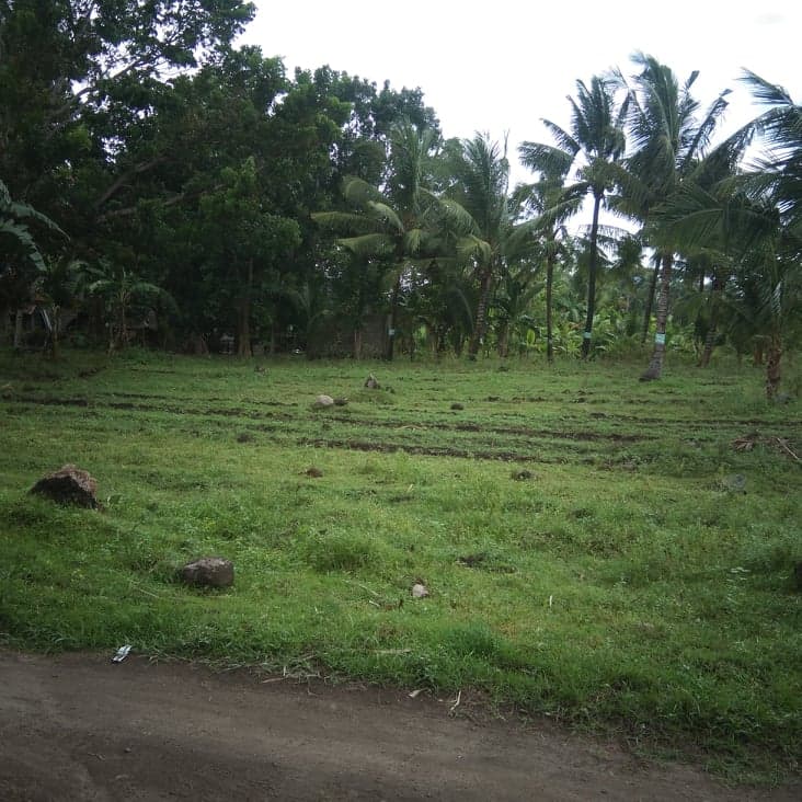 6000 sqm. lot isugan bacong - photo 3