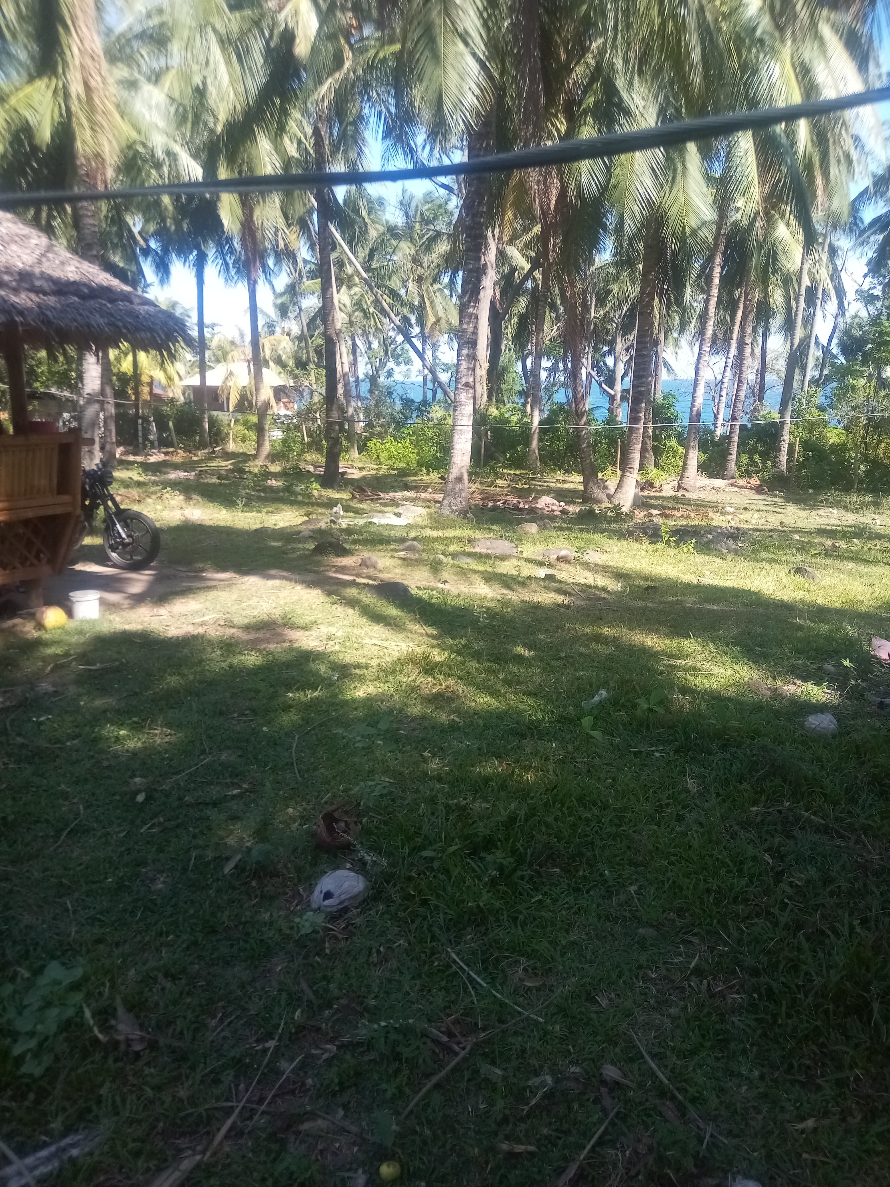 Maayong tubig dauin near the beach lot - photo 6