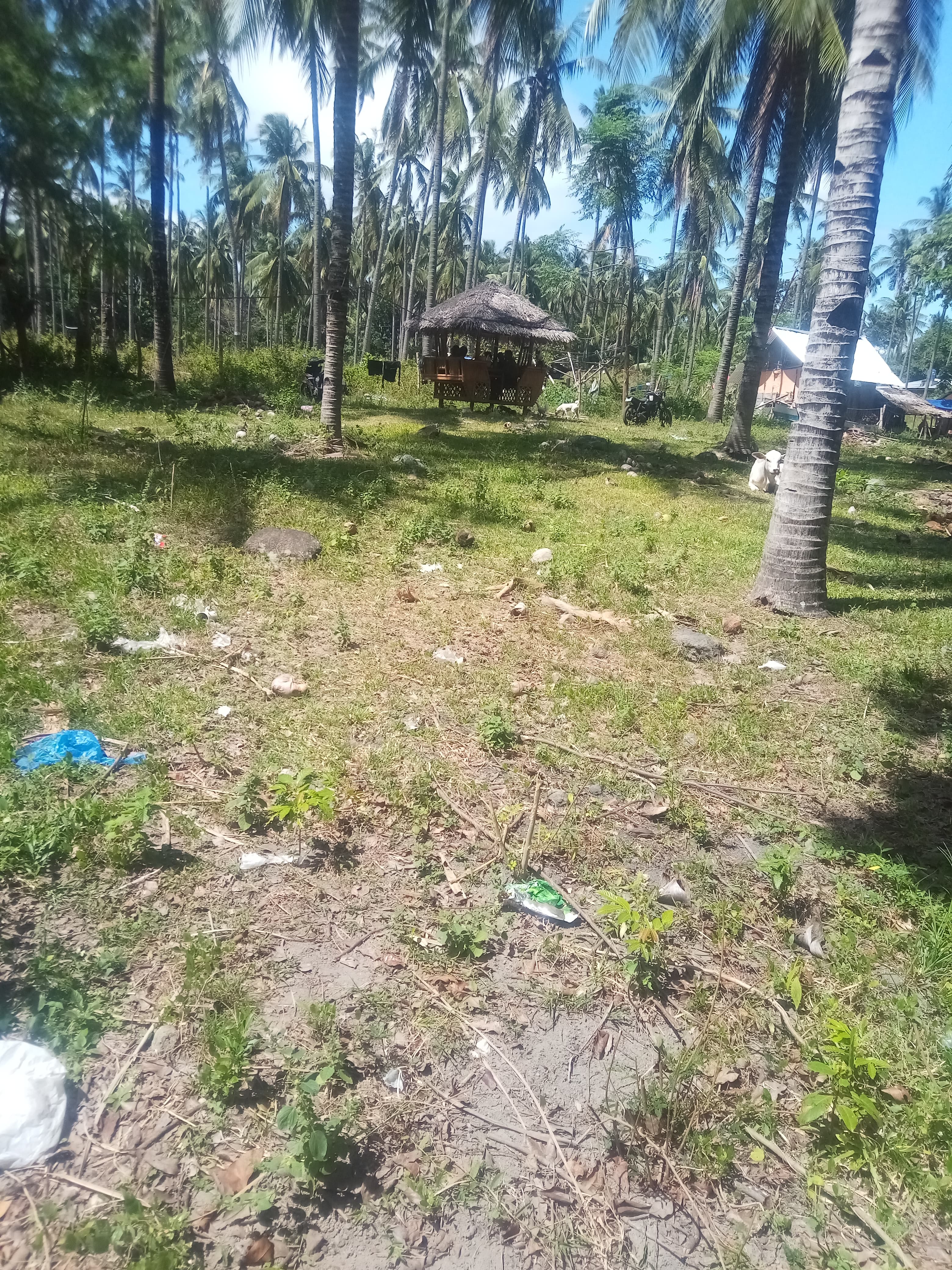 Maayong tubig dauin near the beach lot - photo 4
