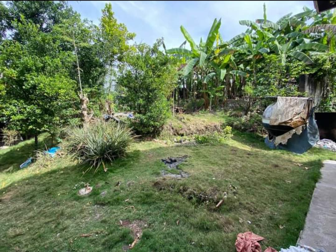 Residential Lot in Talamban - photo 3