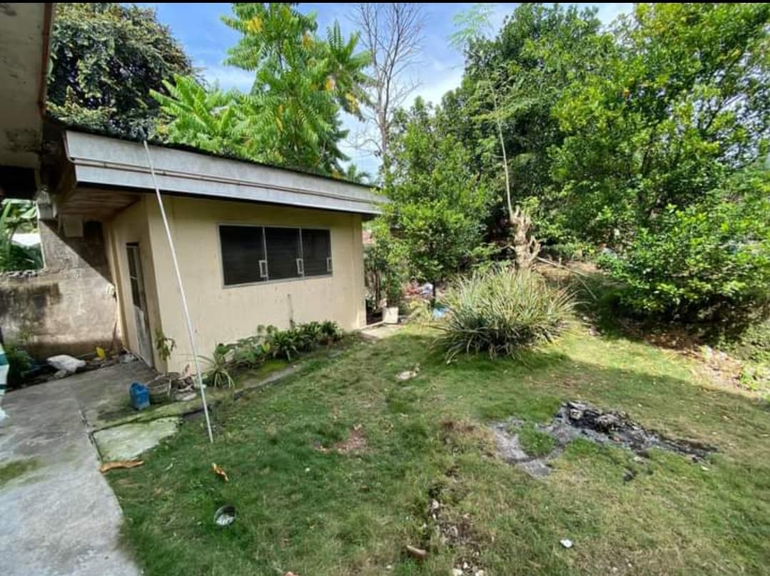 Residential Lot in Talamban - photo 4