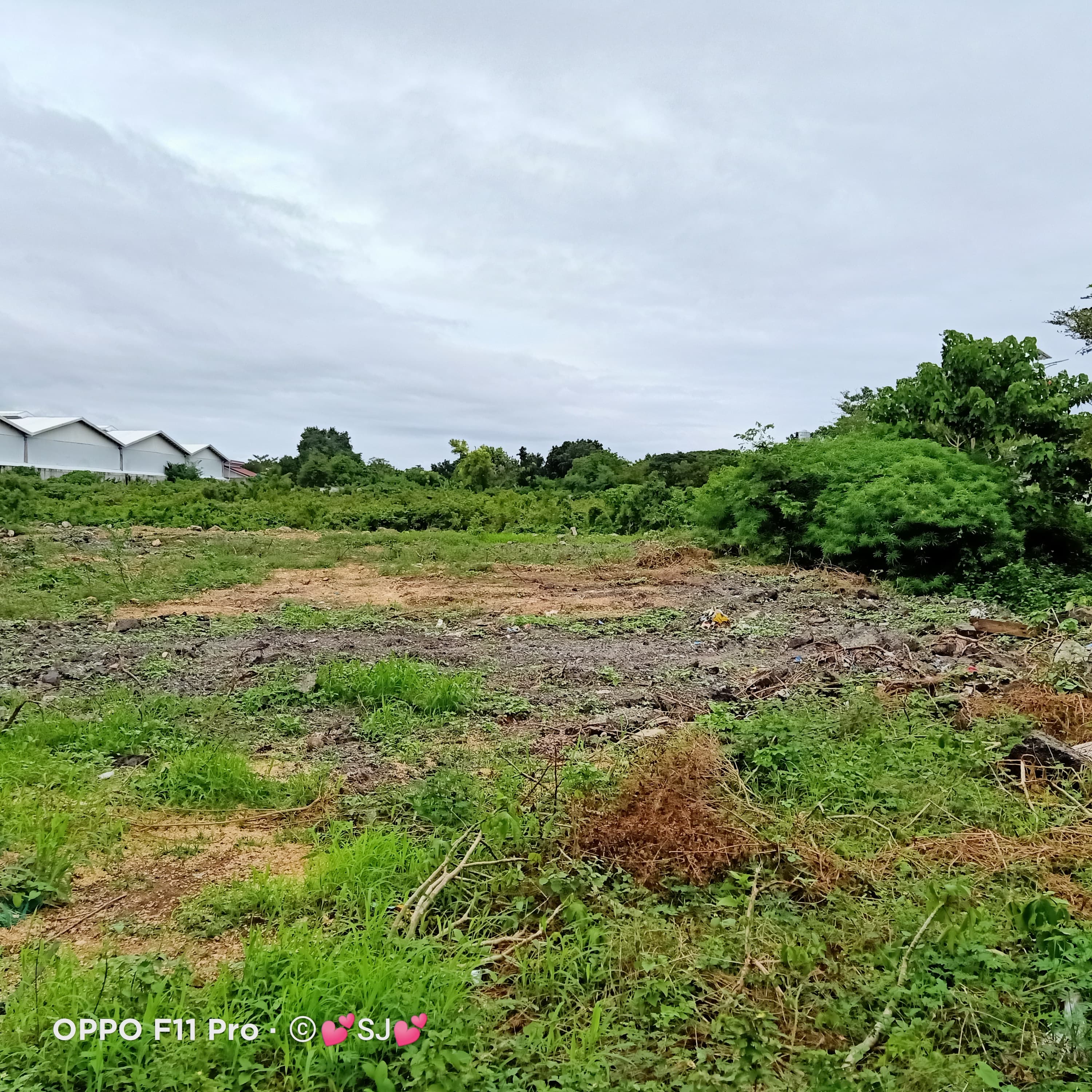 Commercial Lot in Mactan