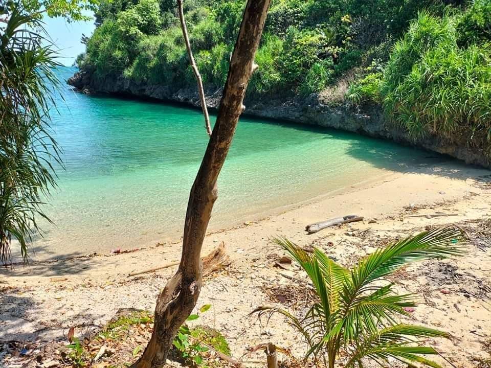 Beach lot in Guimaras - photo 6