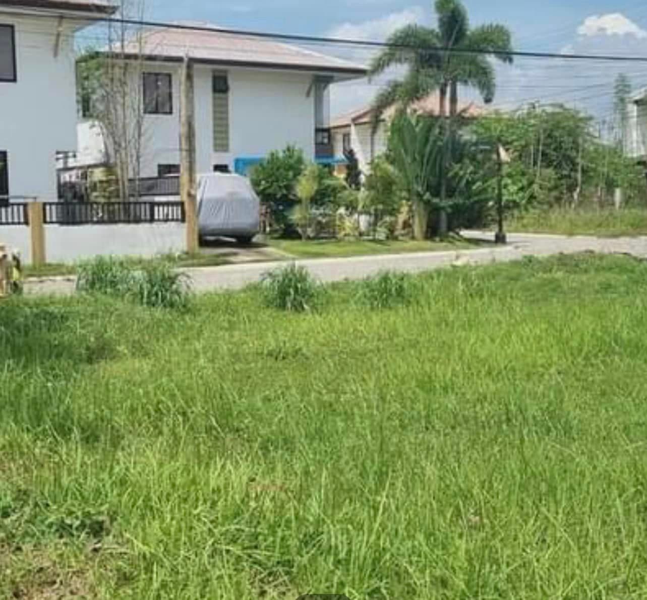 Residential Lot for Sale in Ajoya Subdivision in Cordova Cebu - photo 3