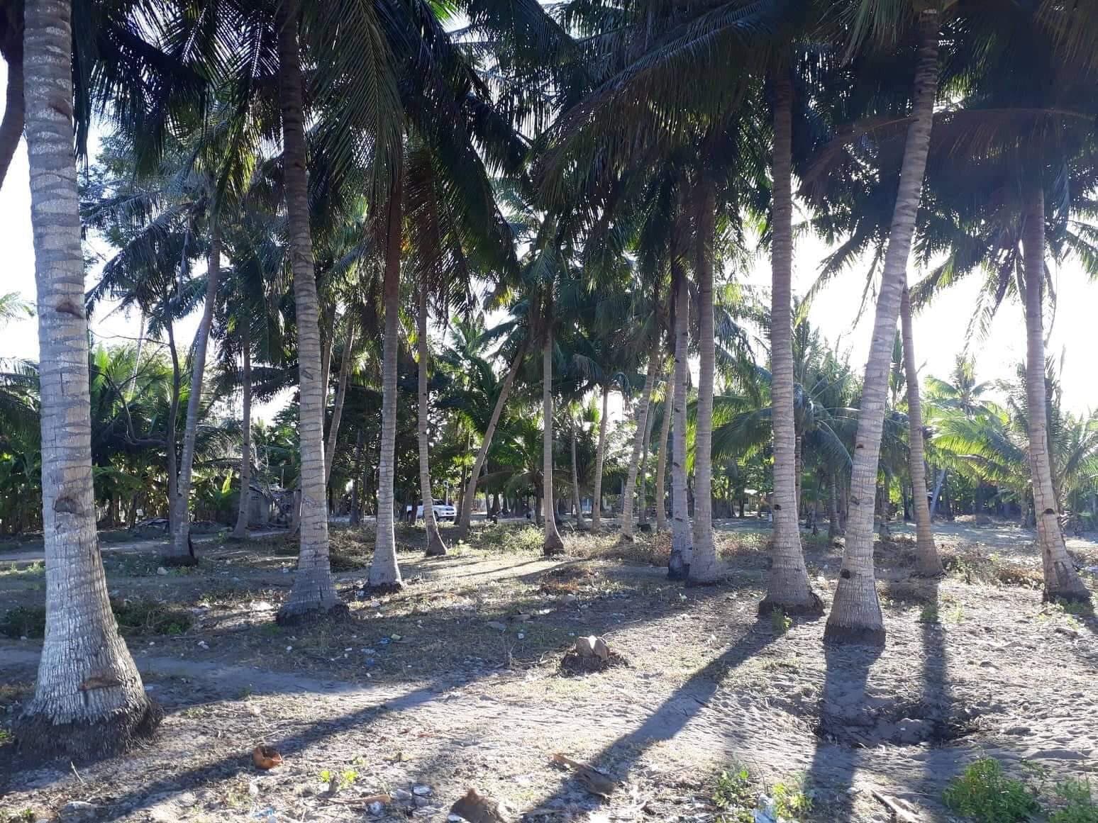 BANTAYAN BEACHLOT FOR SALE! CLEAN TITLE! - photo 5