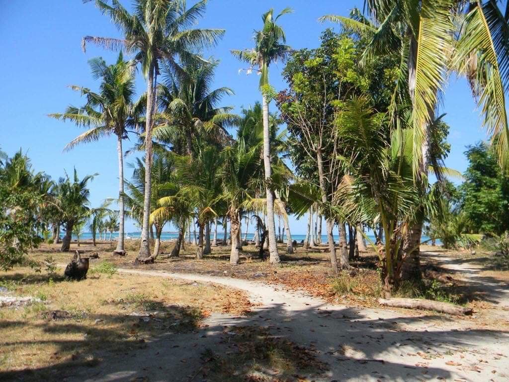 BANTAYAN BEACHLOT FOR SALE! CLEAN TITLE! - photo 4