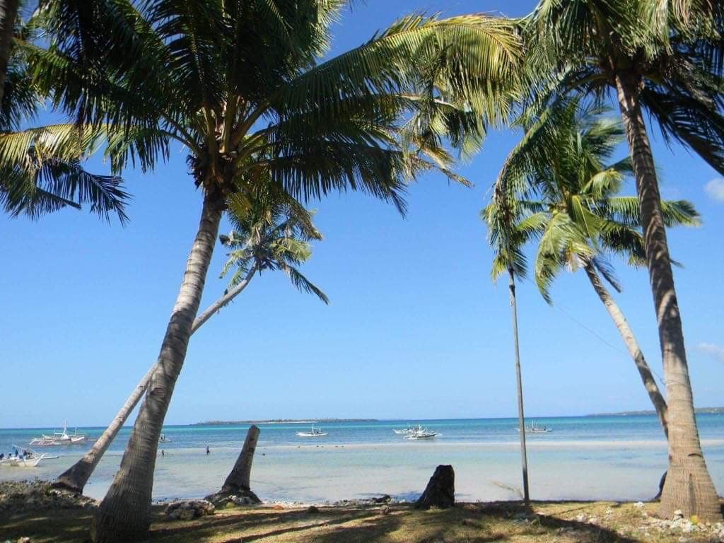 BANTAYAN BEACHLOT FOR SALE! CLEAN TITLE! - photo 2