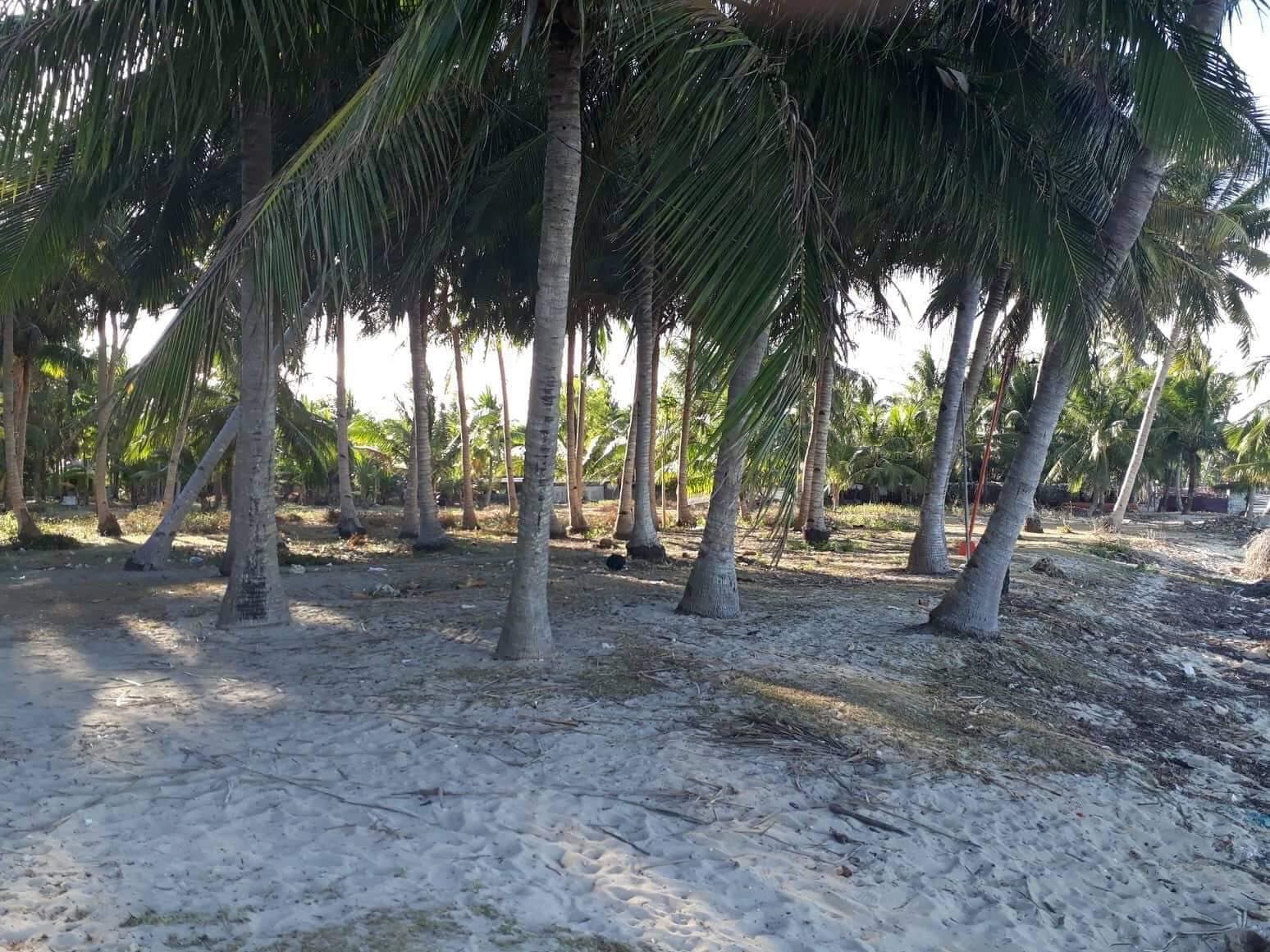 BANTAYAN BEACHLOT FOR SALE! CLEAN TITLE! - photo 6