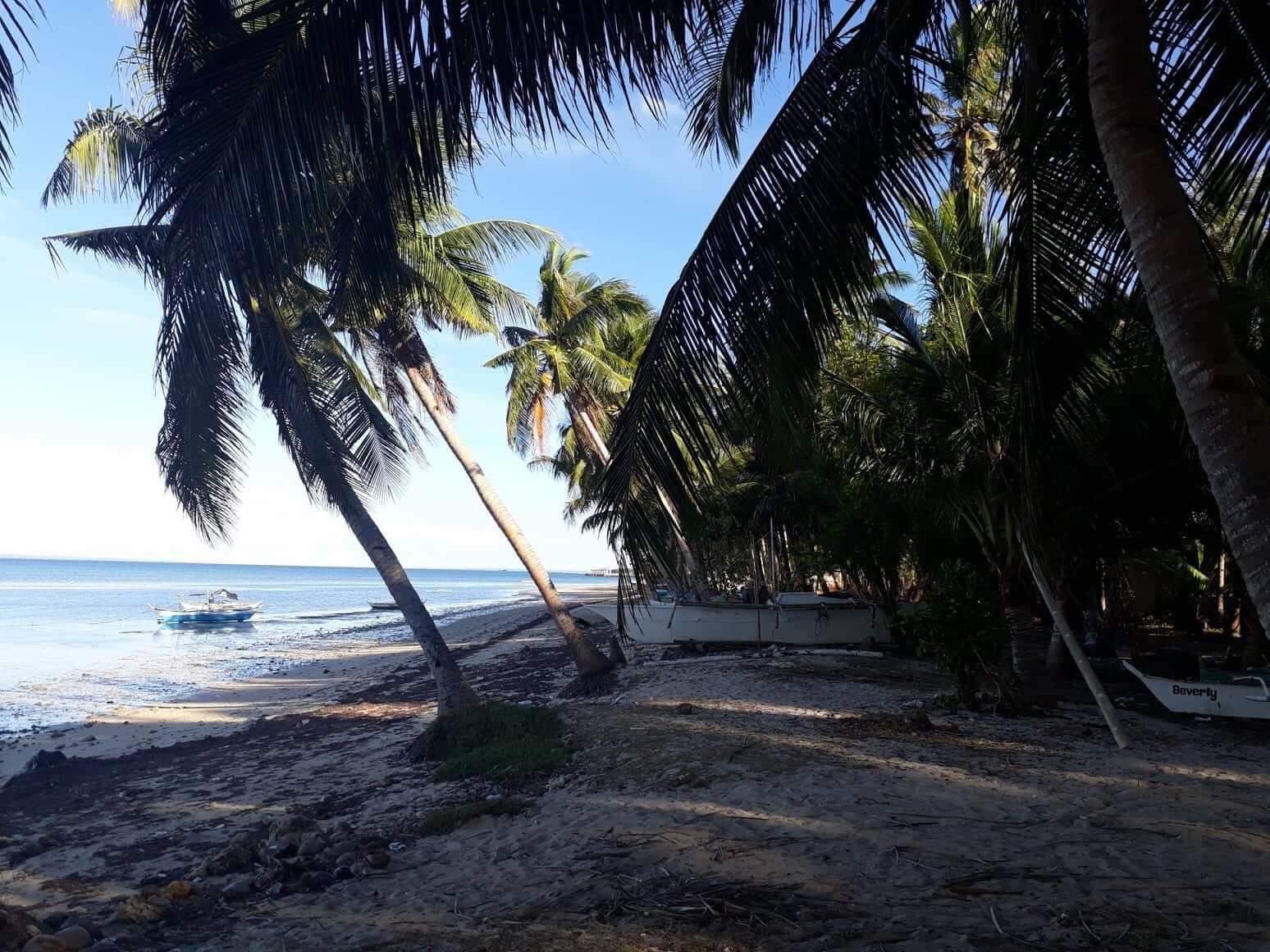BANTAYAN BEACHLOT FOR SALE! CLEAN TITLE! - photo 7