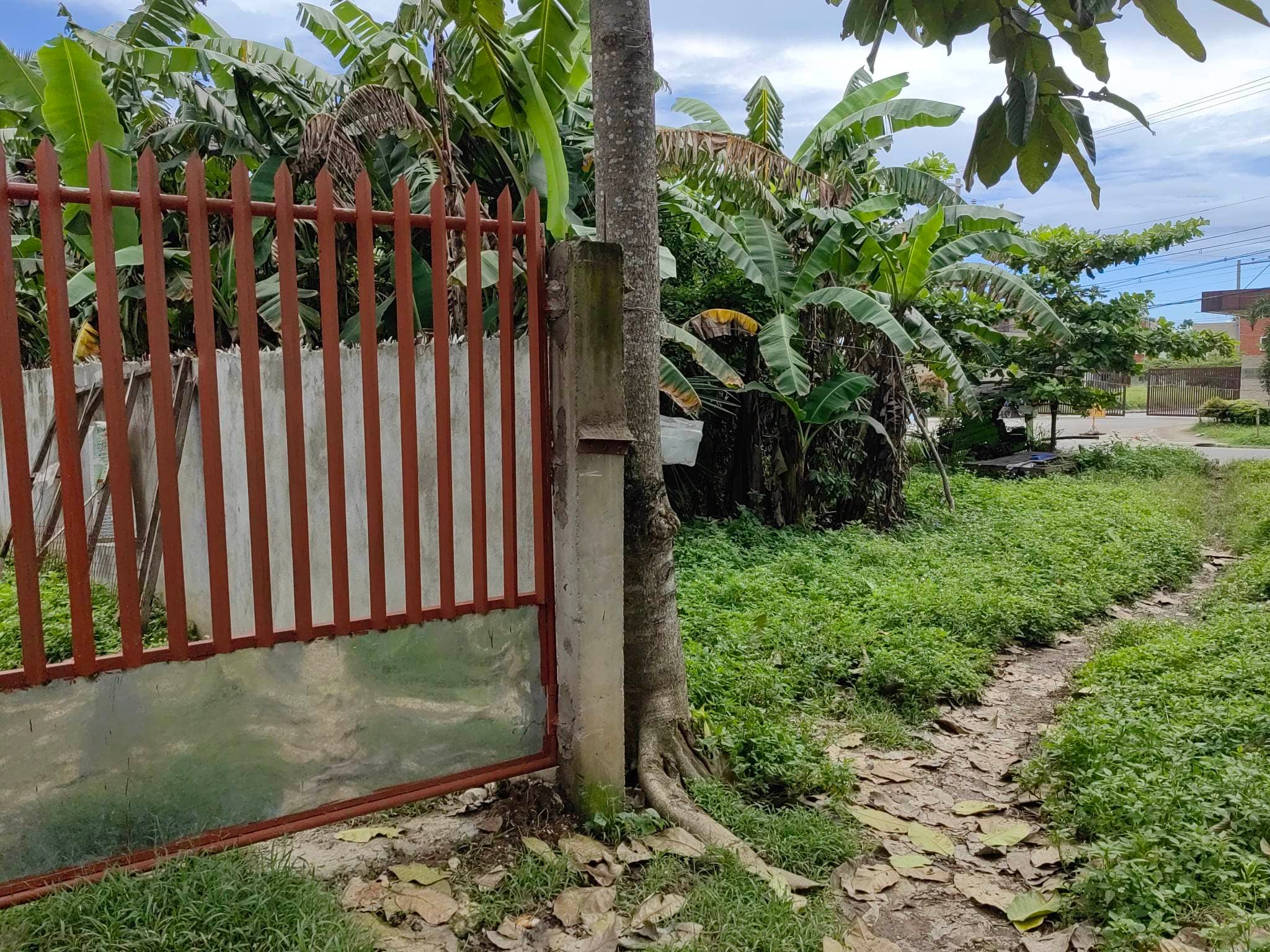 For Sale Fully concrete Fence lot in Sambag, San Vicente Liloan - photo 5