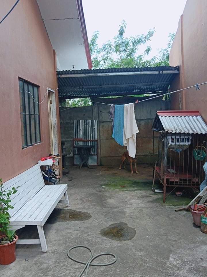 Agan ligaya for assume - photo 3