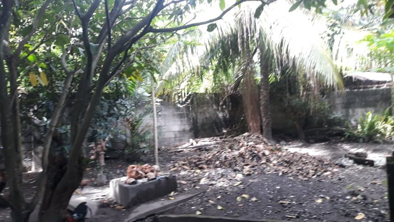 City Proper House and Lot For Sale - photo 5