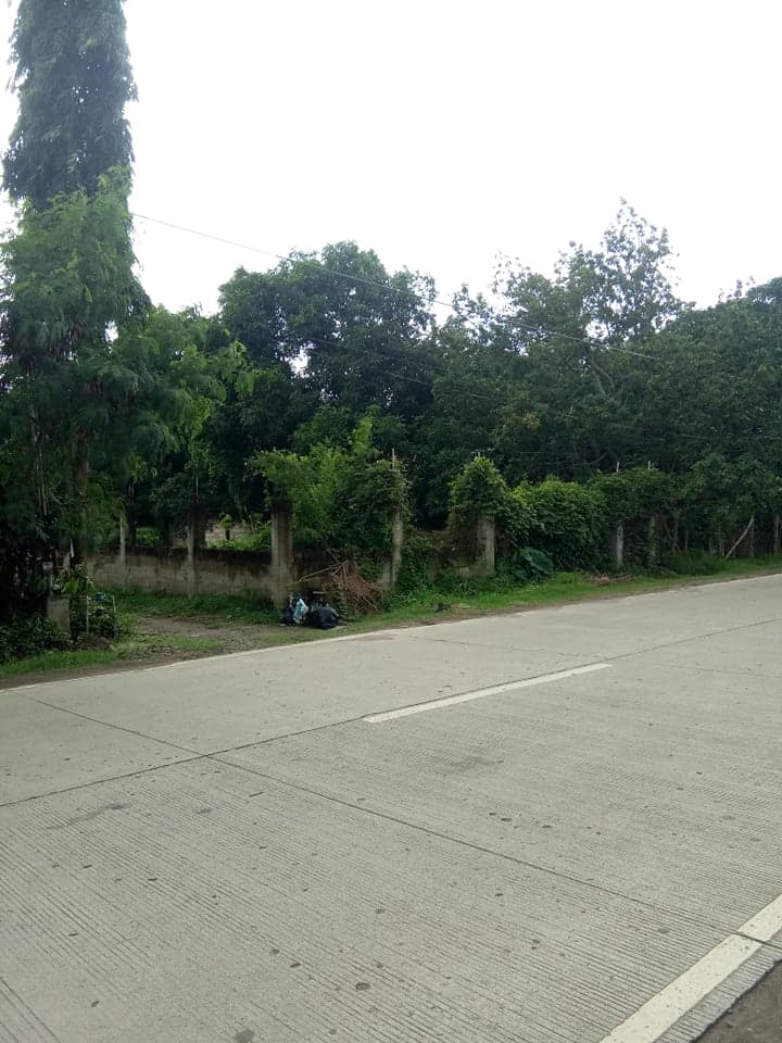 Along National Road Residential Lot - photo 5