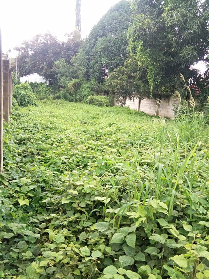 Along National Road Residential Lot - photo 2