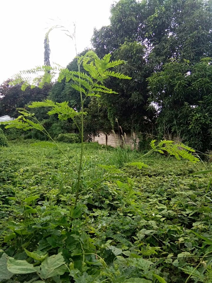 Along National Road Residential Lot - photo 3